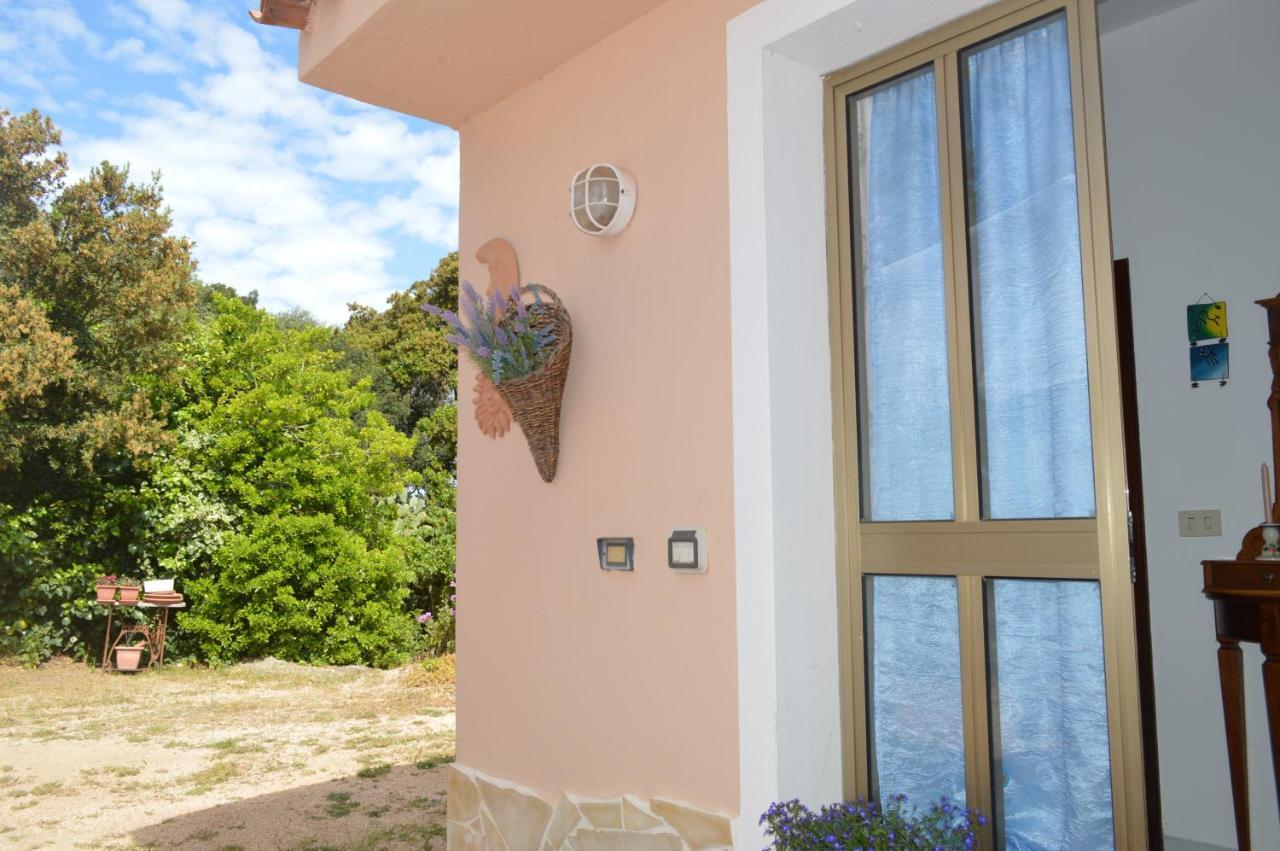 Casa Maltinu Villa Santa Teresa Gallura Exterior photo