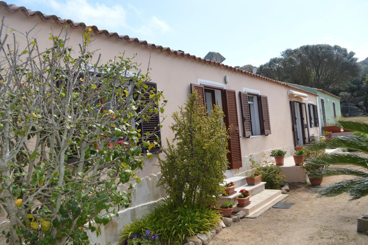 Casa Maltinu Villa Santa Teresa Gallura Exterior photo